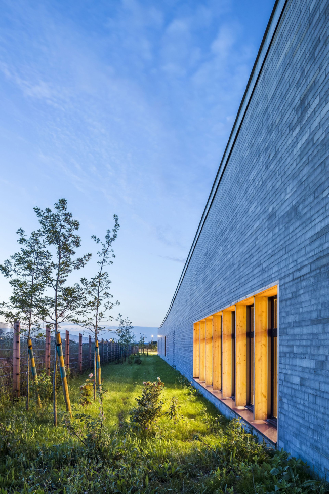 ����� ����� ���-��� ������ � �����