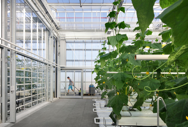 ��������� ������� �� ����� Agrotopia; ��������, �������