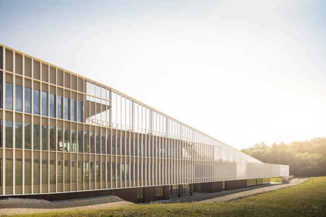 ����-�������� �������� Furla � ������� ����������-����-��-����