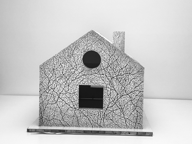 ������������ ���