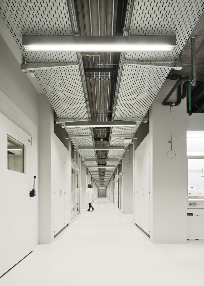 ����� ���� � ����� � ���������� �����