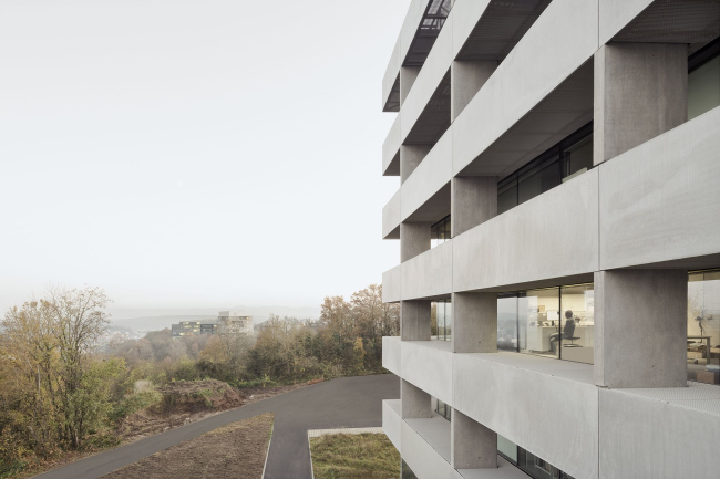 ����� ���� � ����� � ���������� �����