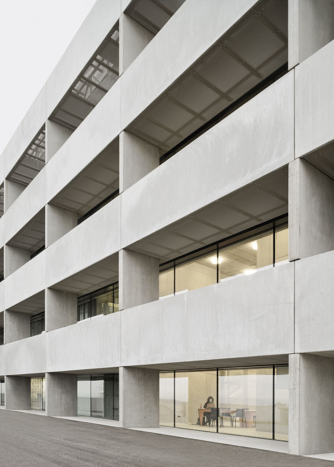 ����� ���� � ����� � ���������� �����