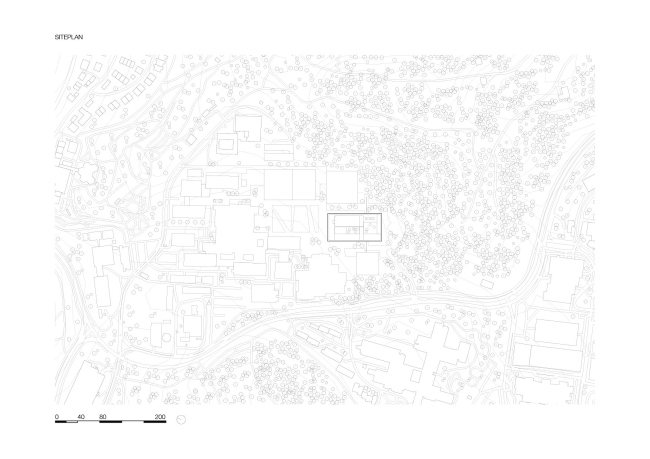 ����� ���� � ����� � ���������� �����