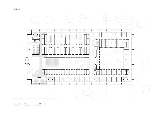 ����� ���� � ����� � ���������� �����