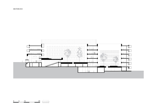 ����� ���� � ����� � ���������� �����