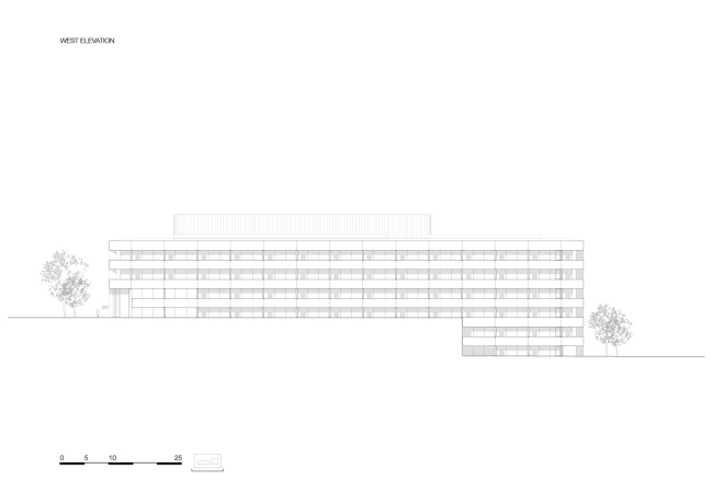 ����� ���� � ����� � ���������� �����