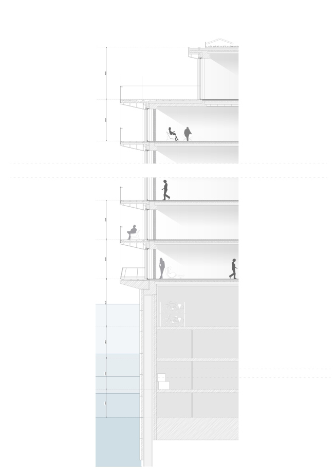 ����� ����� Seestern