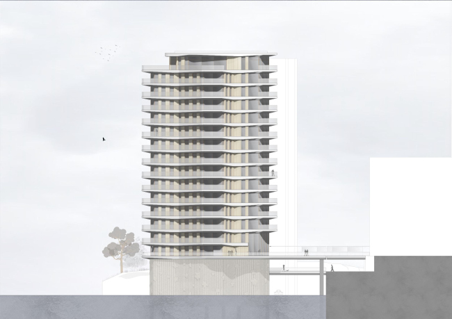 ����� ����� Seestern