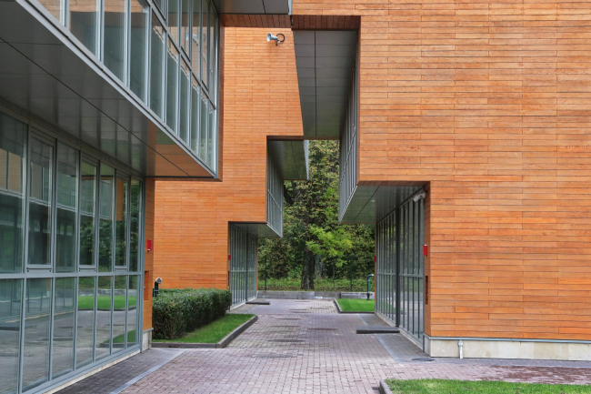 ������ ��� ����� ������������ ����