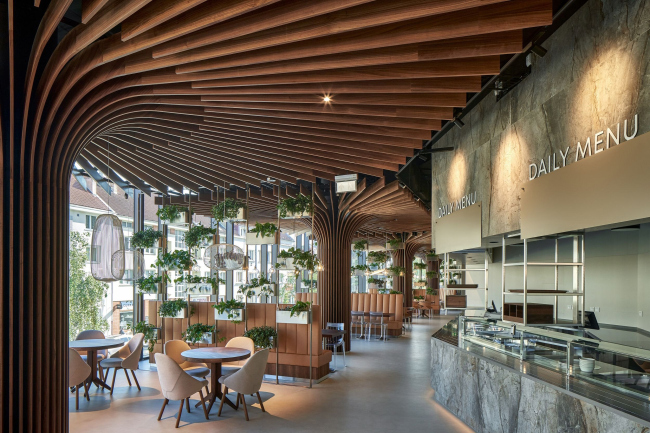 ������������������� �������� ������������ � �����