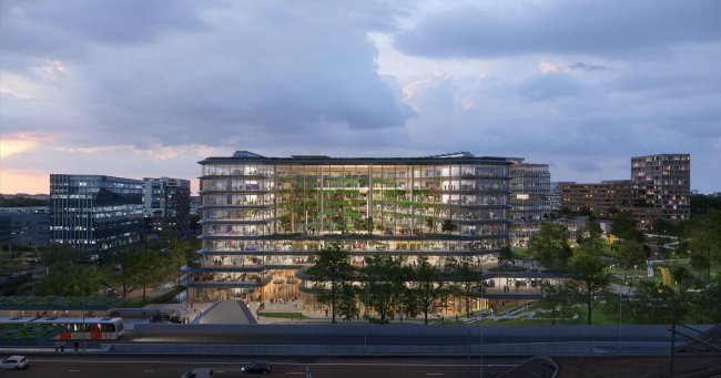 ����-�������� IBM � ����������