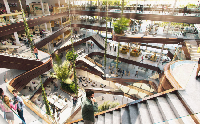 ����-�������� IBM � ����������