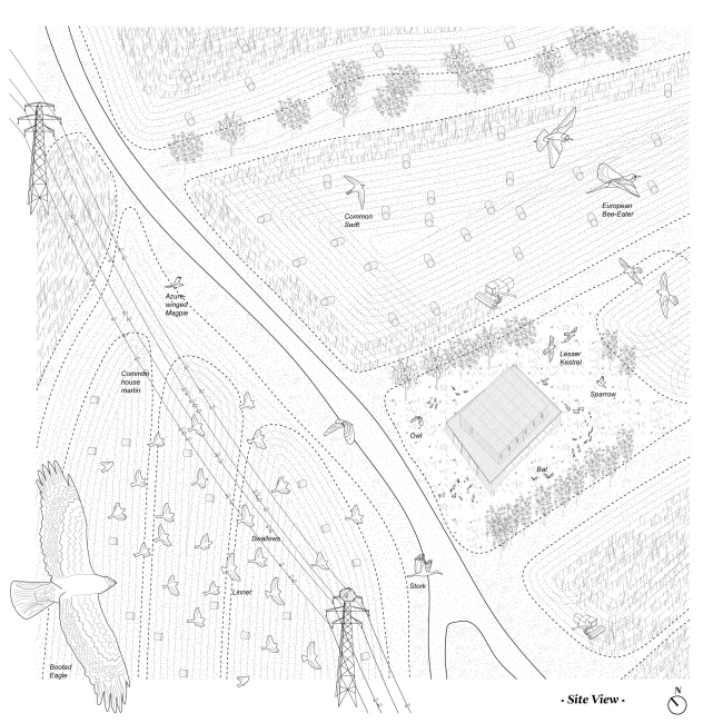 �������������� ����� Educan