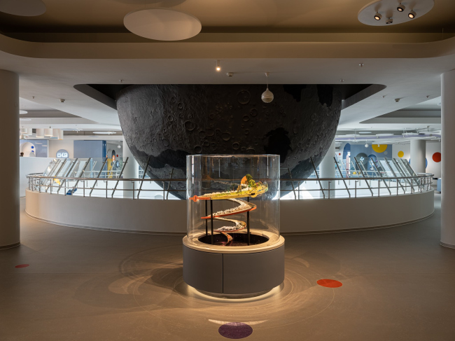 ��������