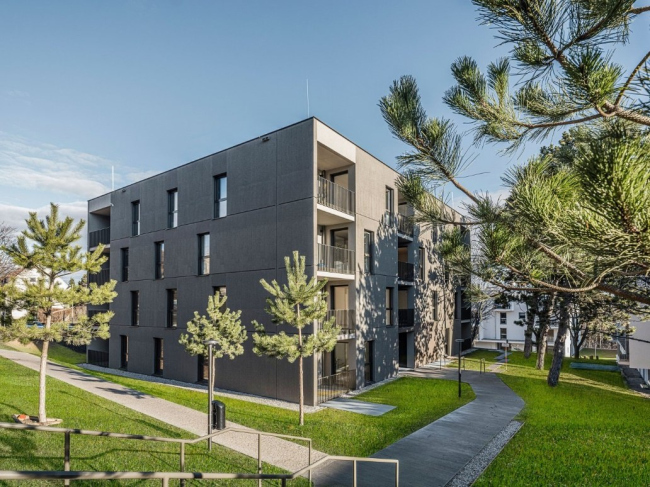 Live in the Green Joseph Lister Street, �������