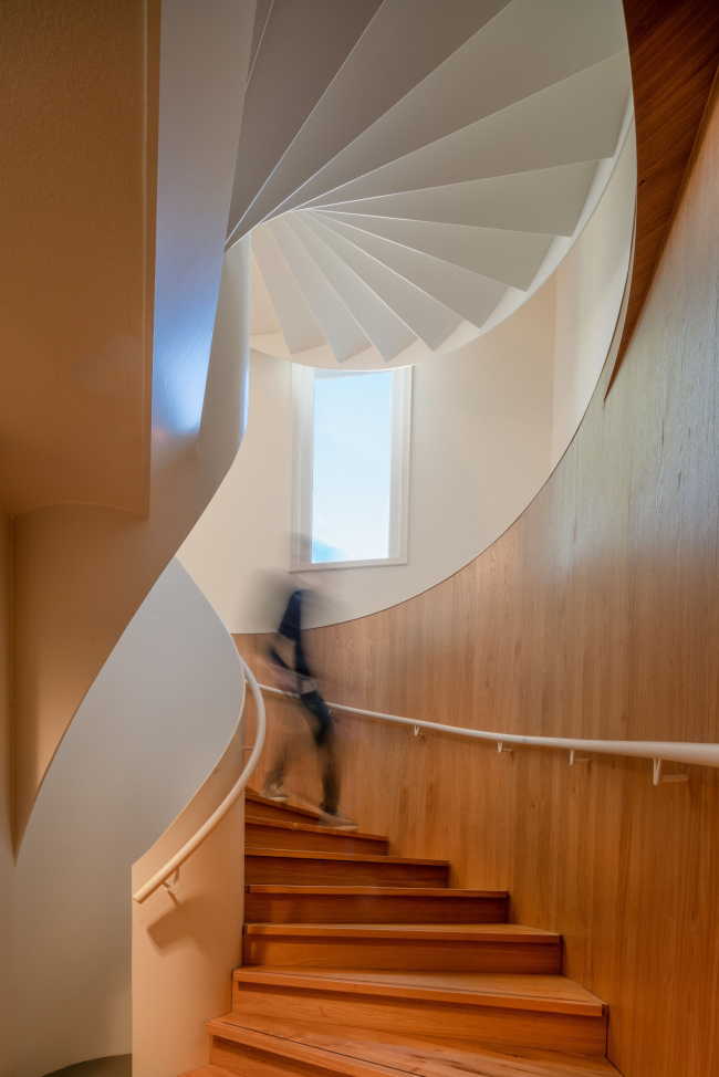 ����� ������