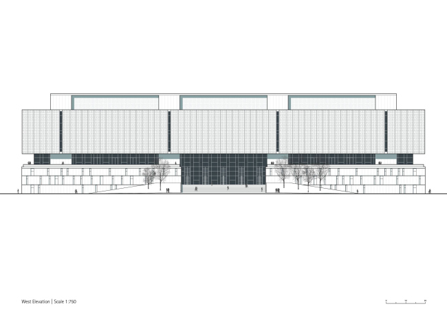 ����� ��������� ������������ ��������