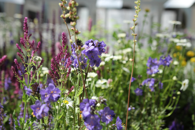 ��� ������ 2022