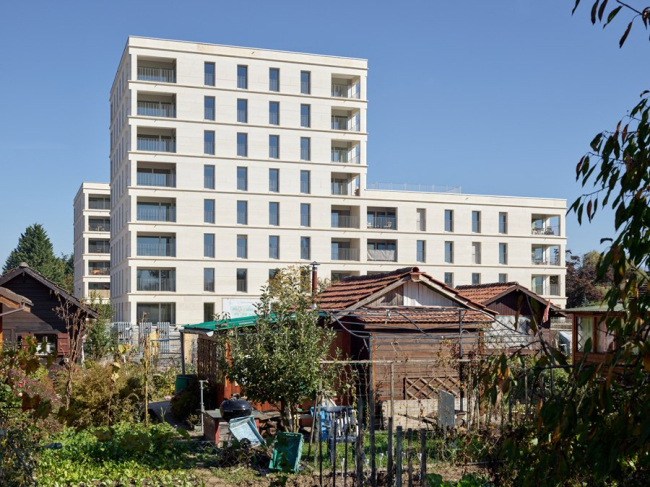 ����� �������� �� �������� ������