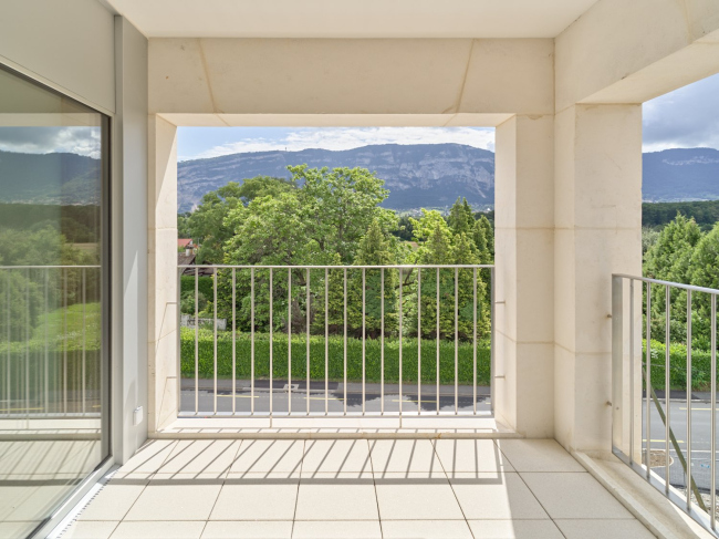 ����� �������� �� �������� ������