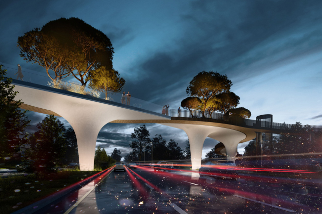 The green pedestrian bridge in Almaty