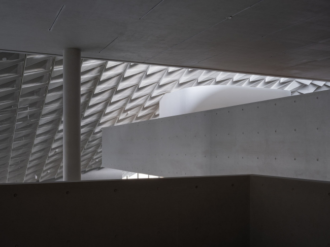 ����� �������� �������