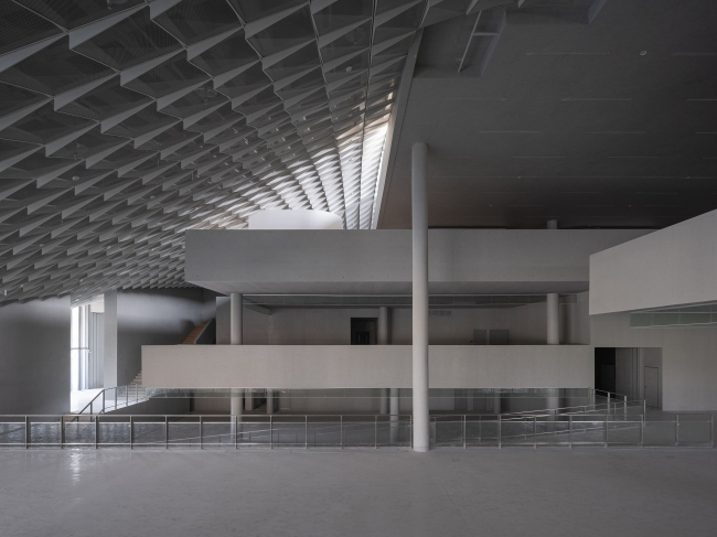 ����� �������� �������