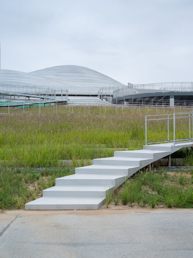 ����� �������� �������