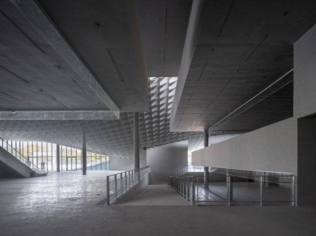 ����� �������� �������