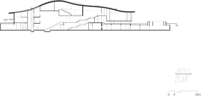 ����� �������� �������