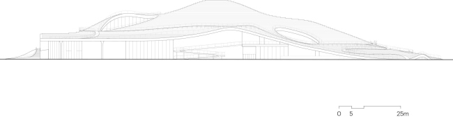 ����� �������� �������