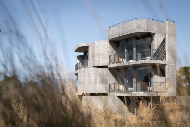 �����-����� Wandering Walls