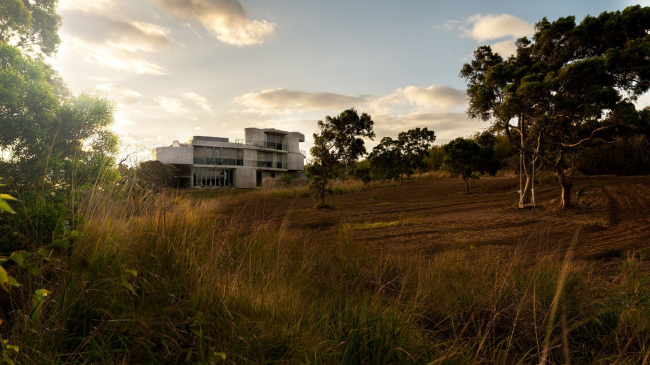 �����-����� Wandering Walls