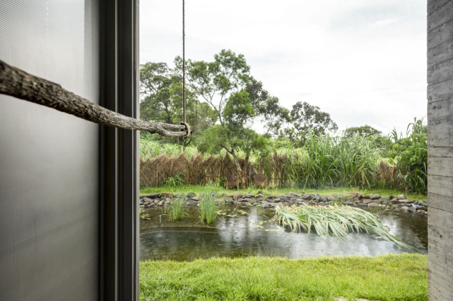 �����-����� Wandering Walls