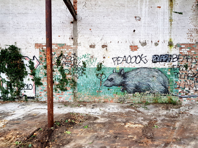 ������ Roa � Bijgaardehof