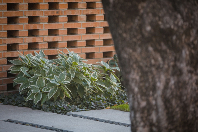 ����� Anna Garden