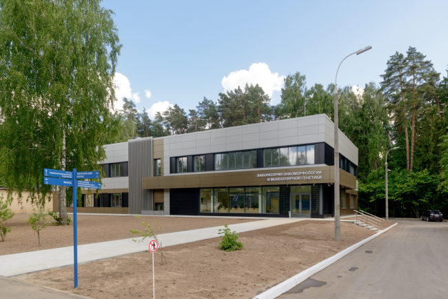 ����������� �������������� � ������������ �������� ��� ���������� ��������� �������������� �������� � 62