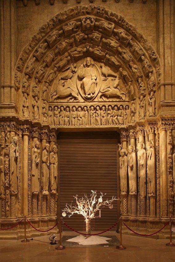 ������ ������� ���� Kenzo