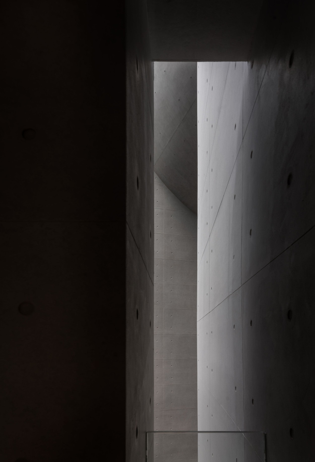 ����������� ����� OCT