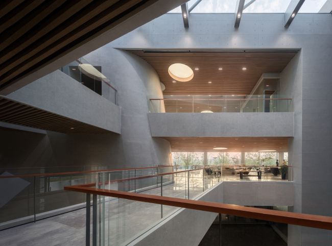 ����������� ����� OCT