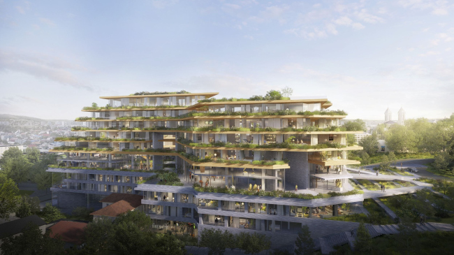 ����� �������� Palas Residential