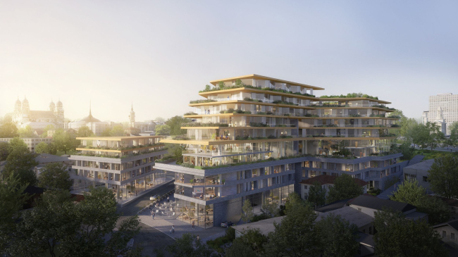 ����� �������� Palas Residential