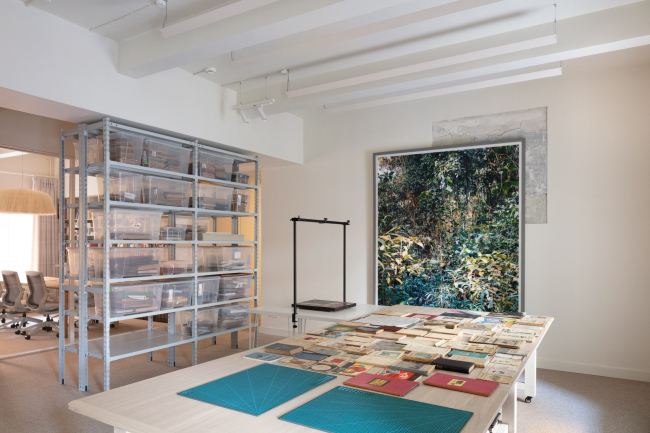 ���� ����