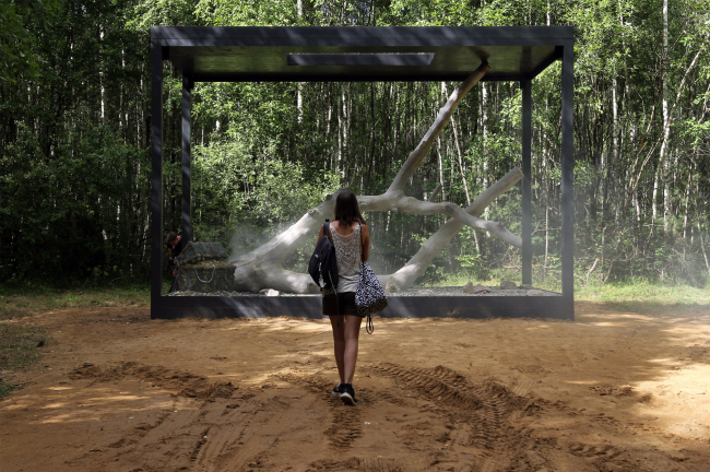 ������ ��������, ���������. ���������� 2022