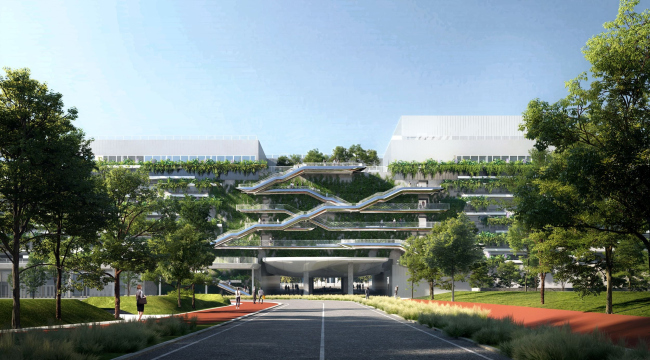 ����� ����������� � ��������� MoLo