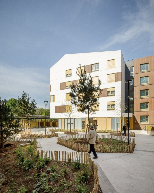 ���������� ��������� Jonquille