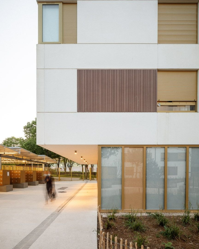 ���������� ��������� Jonquille