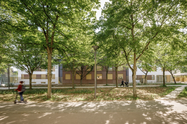 ���������� ��������� Jonquille