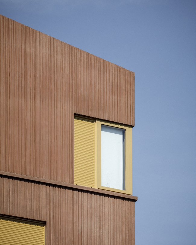 ���������� ��������� Jonquille